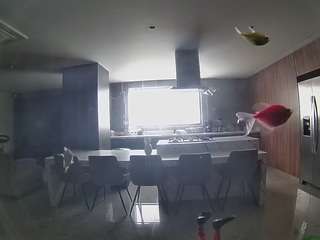 voyeurcam-casa-salsa-fishtank