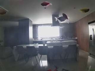 voyeurcam-casa-salsa-fishtank