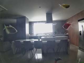 voyeurcam-casa-salsa-fishtank
