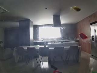 voyeurcam-casa-salsa-fishtank