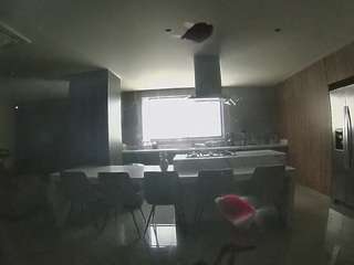 voyeurcam-casa-salsa-fishtank