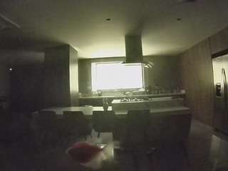 voyeurcam-casa-salsa-fishtank