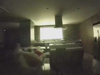 voyeurcam-casa-salsa-fishtank