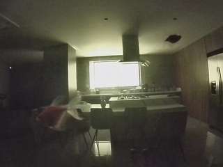 voyeurcam-casa-salsa-fishtank