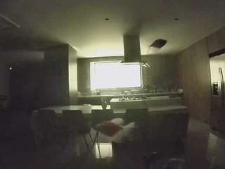 voyeurcam-casa-salsa-fishtank