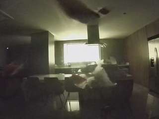 voyeurcam-casa-salsa-fishtank