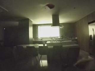 voyeurcam-casa-salsa-fishtank