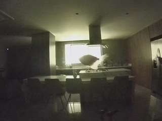 voyeurcam-casa-salsa-fishtank