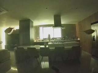 voyeurcam-casa-salsa-fishtank