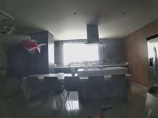 voyeurcam-casa-salsa-fishtank