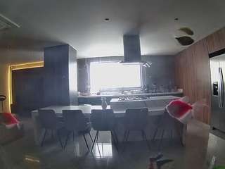 voyeurcam-casa-salsa-fishtank