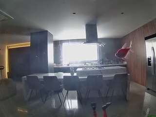 voyeurcam-casa-salsa-fishtank