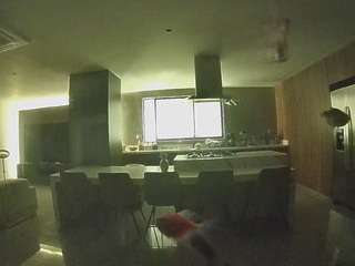 voyeurcam-casa-salsa-fishtank