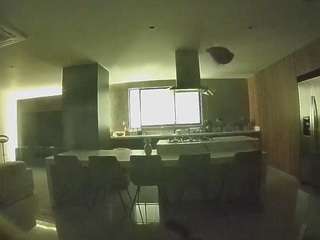voyeurcam-casa-salsa-fishtank
