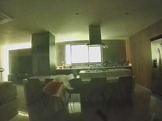 voyeurcam-casa-salsa-fishtank