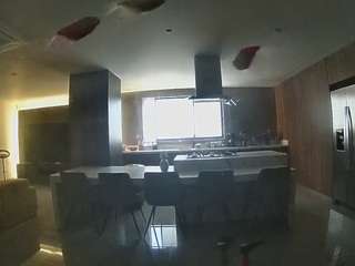 voyeurcam-casa-salsa-fishtank