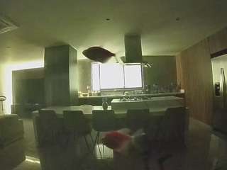 voyeurcam-casa-salsa-fishtank