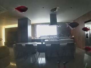 voyeurcam-casa-salsa-fishtank