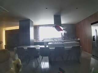 voyeurcam-casa-salsa-fishtank