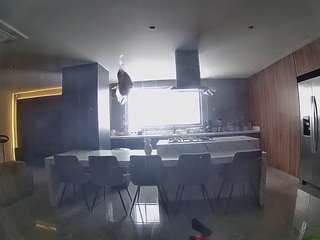 voyeurcam-casa-salsa-fishtank Profile Image