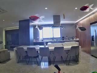 voyeurcam-casa-salsa-fishtank
