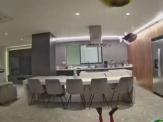 voyeurcam-casa-salsa-fishtank Profile Image