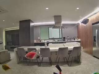 voyeurcam-casa-salsa-fishtank