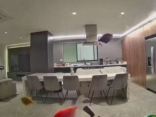 voyeurcam-casa-salsa-fishtank