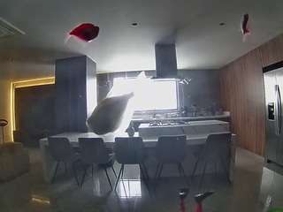voyeurcam-casa-salsa-fishtank