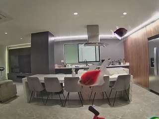 voyeurcam-casa-salsa-fishtank