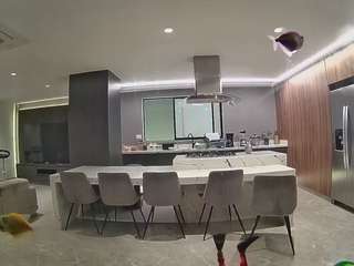 voyeurcam-casa-salsa-fishtank