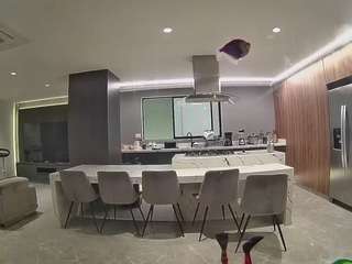 voyeurcam-casa-salsa-fishtank