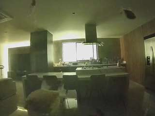 voyeurcam-casa-salsa-fishtank