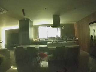 voyeurcam-casa-salsa-fishtank