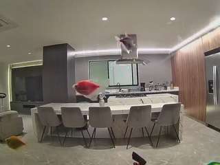 voyeurcam-casa-salsa-fishtank
