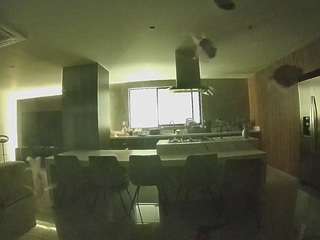 voyeurcam-casa-salsa-fishtank