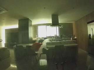 voyeurcam-casa-salsa-fishtank