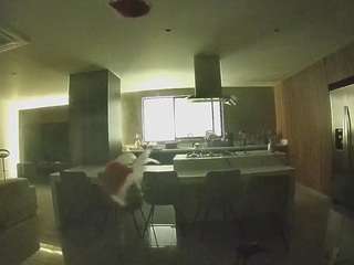 voyeurcam-casa-salsa-fishtank