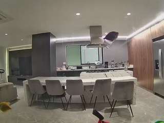 voyeurcam-casa-salsa-fishtank