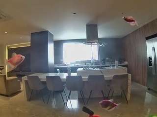 voyeurcam-casa-salsa-fishtank