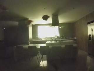 voyeurcam-casa-salsa-fishtank