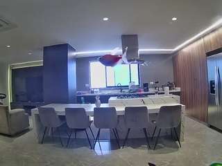 voyeurcam-casa-salsa-fishtank