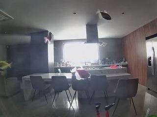 voyeurcam-casa-salsa-fishtank