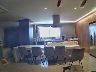 voyeurcam-casa-salsa-fishtank