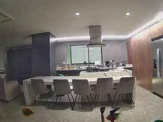 voyeurcam casa salsa fishtank