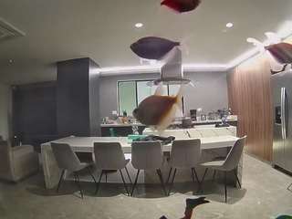 voyeurcam-casa-salsa-fishtank webcam model