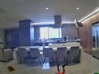 voyeurcam-casa-salsa-fishtank