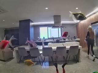 voyeurcam-casa-salsa-fishtank