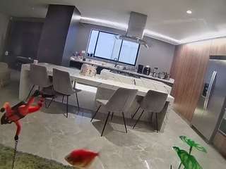 voyeurcam-casa-salsa-fishtank