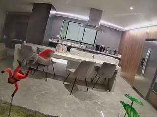 voyeurcam-casa-salsa-fishtank